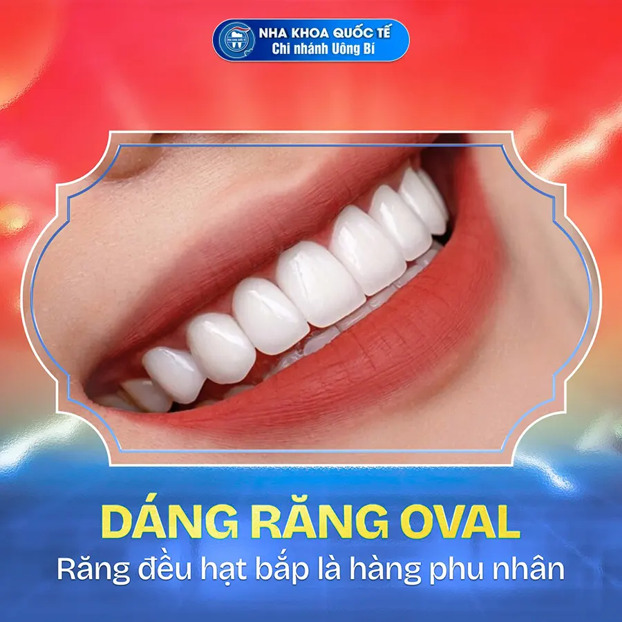 dáng răng oval