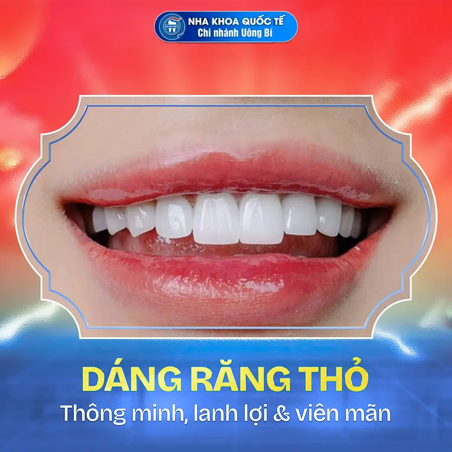 dáng răng thỏ